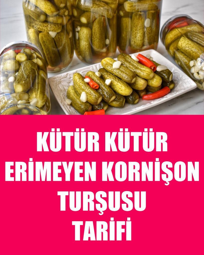 Kütür Kütür Kışlık Asla Erimeyen Kornişon Turşusu - 1