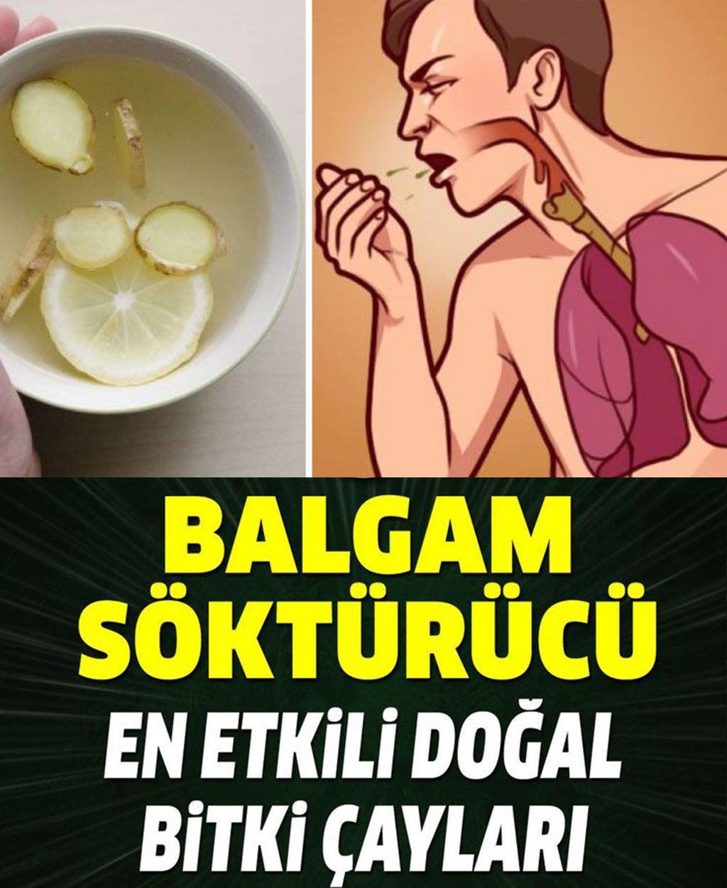 Balgam Söktürücü En Etkili Bitki Çayları - 1