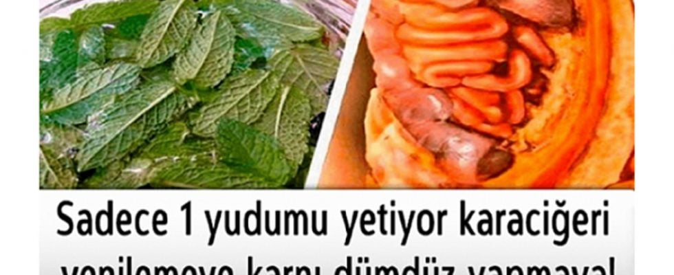 1 Yudumu Karaciğeri Yenilemeye Göbeği Dümdüz Yapmaya Yetiyor - 2