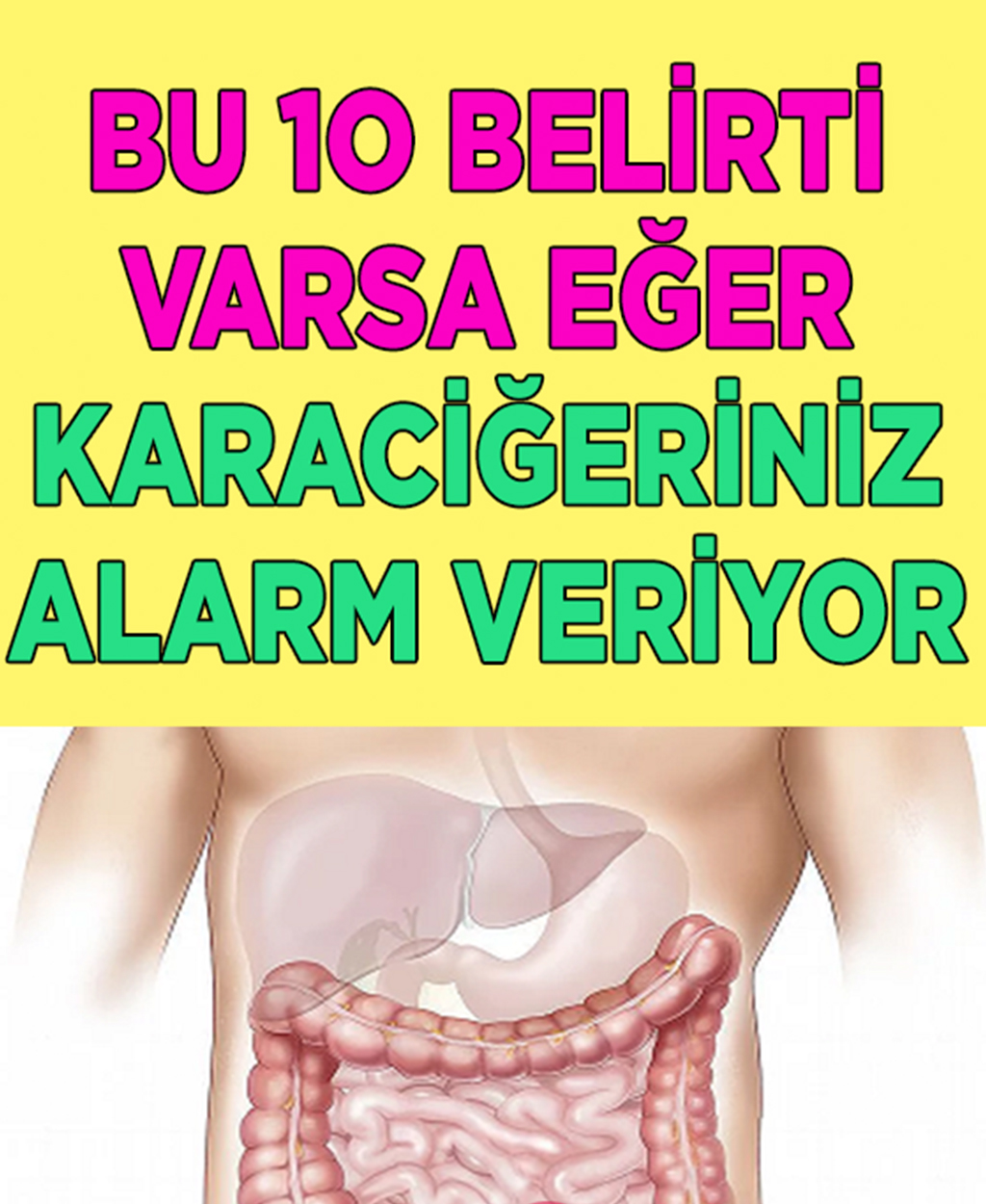 Bu 10 Belirti Varsa Karaciğeriniz Alarm Veriyor - 1