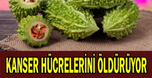 Kanser Hücrelerini Öldürüyor, Bağışıklığı Güçlendiriyor