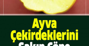 Ayva Çekirdeklerini Sakın Çöpe Atmayın Neden Mi