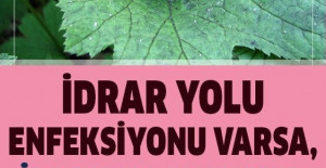 İdrar Yolu Enfeksiyonuna Konutta Natürel Çözüm, Kaynatıp Suyunu İçin