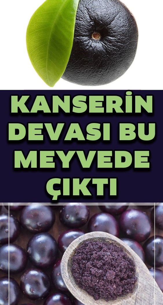 Kanserli Hücrelere Saldırıp Yok Ediyor - 1