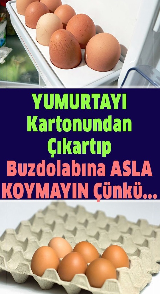 Yumurtayı kartonundan çıkarıp asla dolaba koymayın - 1