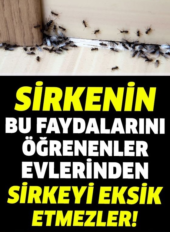 Bahçenizde Sirke Kullanmanın Faydaları Nelerdir - 1