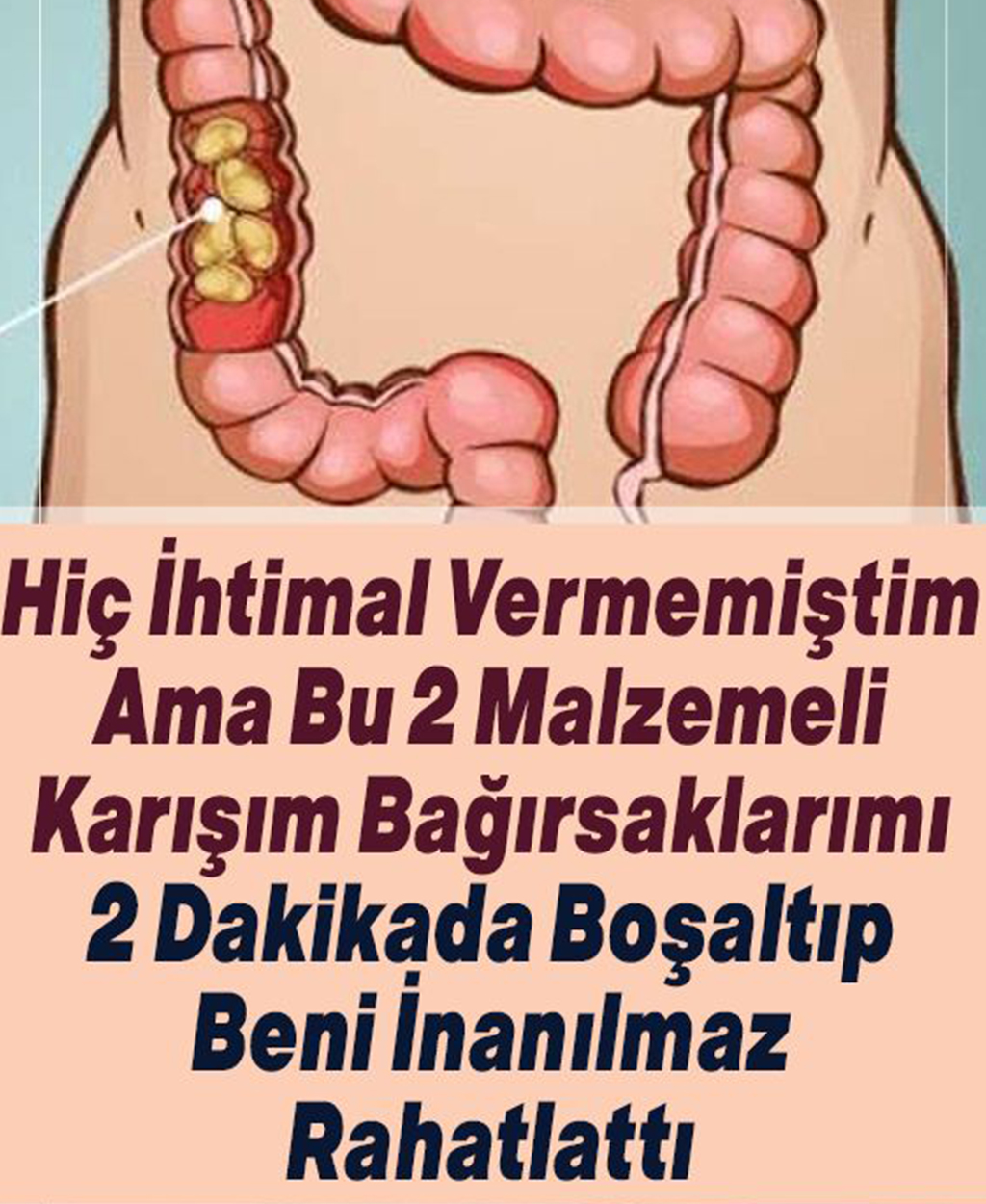 2 Malzemeli Karışım ile 2 Dakikada Bağırsaklarınızı Boşaltıp Rahatlatın - 1