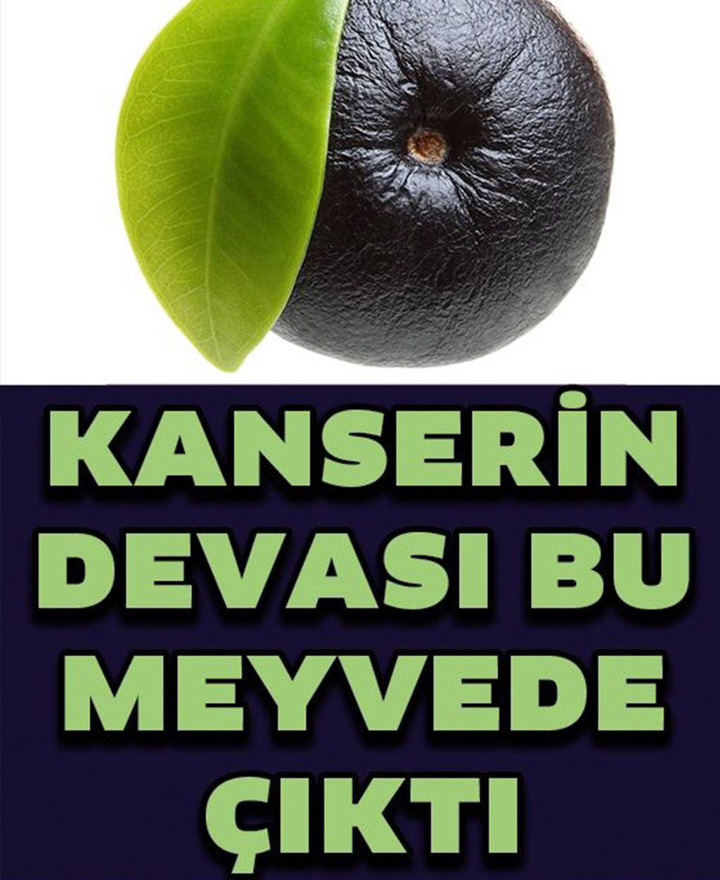 Kanserli Hücrelere Saldırıp Yok Ediyor - 1