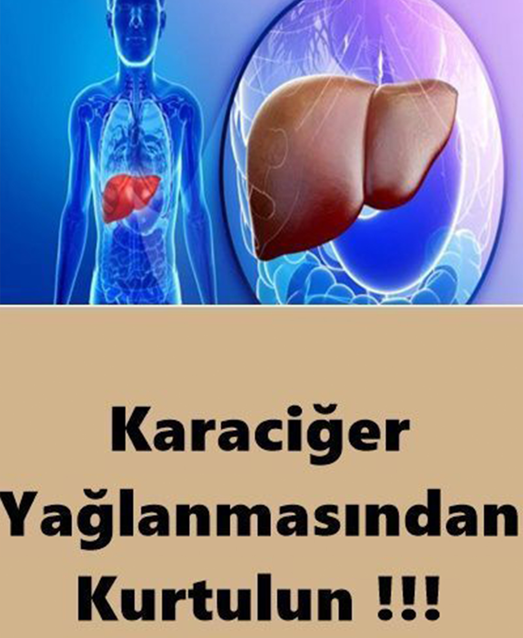 Karaciğer Yağlanmasından Kurtulun - 1