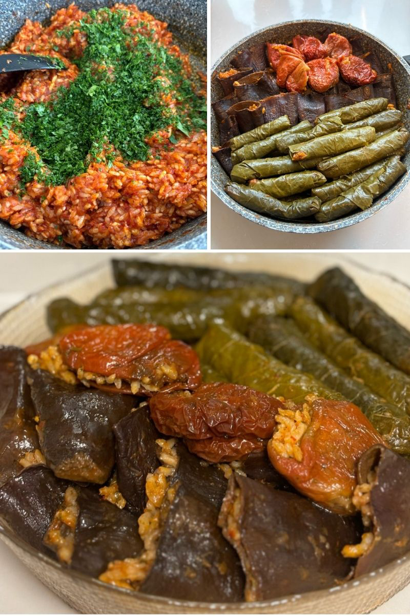 Ekşili Kuru Patlıcan ,Kuru Biber ,Yaprak Karışık Dolma Tarifi - 2