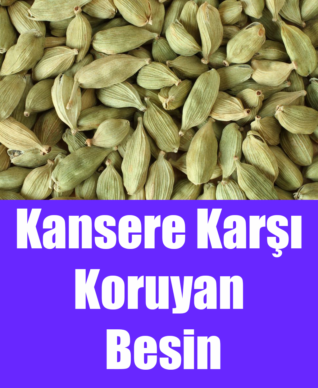 Kansere Karşı Koruyan Besin - 1