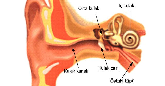 Kulak Kaşıntısı Neden Olur Nasıl Geçer - 3