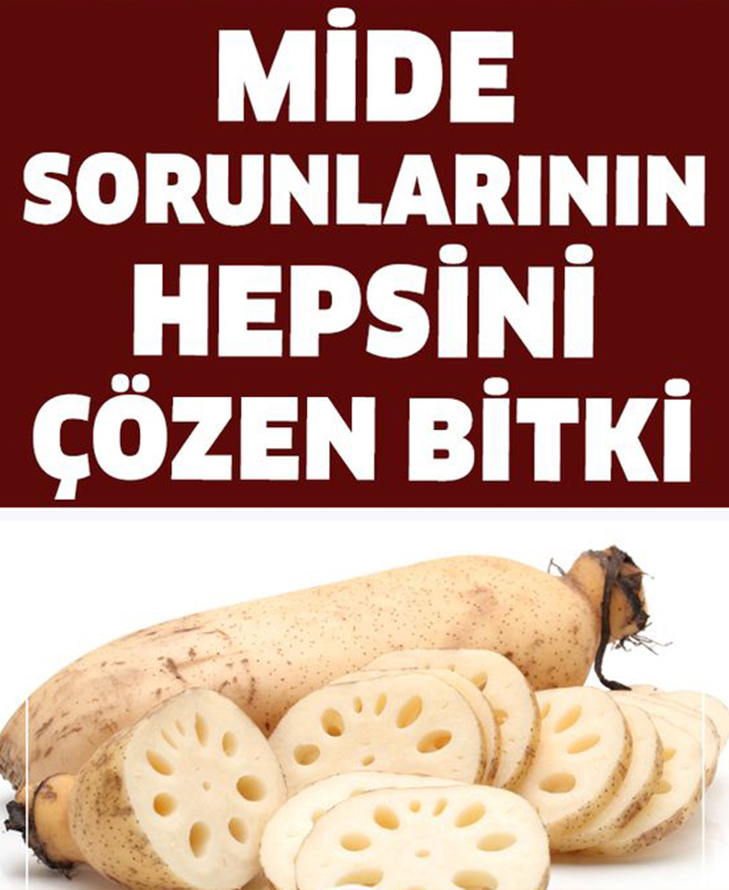 Bu Bitki Mide Sorunlarının Hepsini Çözüyor - 1