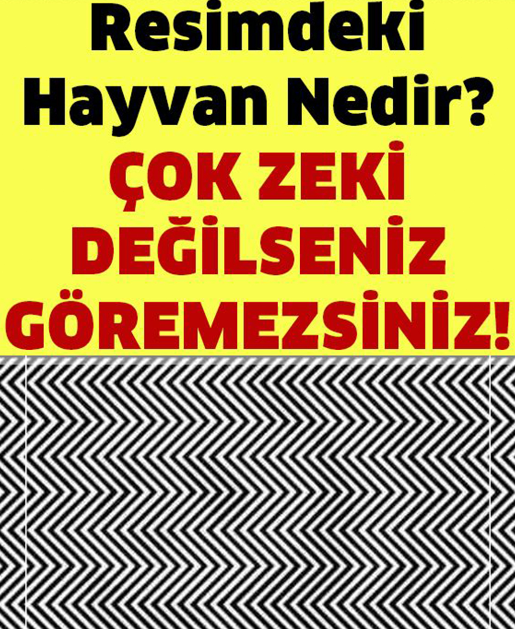 Resimdeki Hayvanı Görebiliyor musunuz? - 1