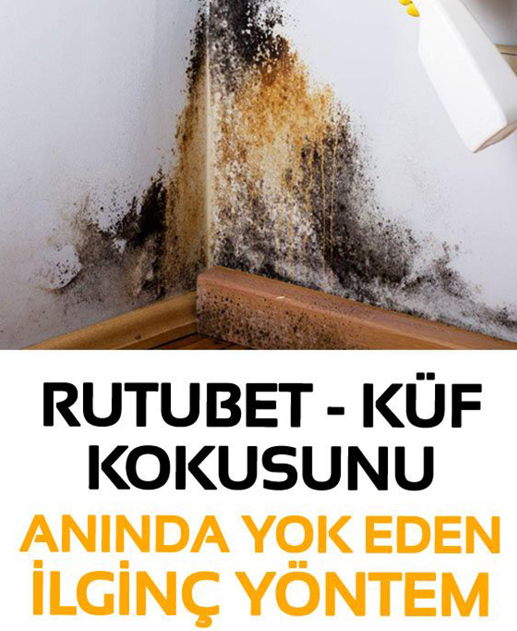 Rutubet kokusunu anında yok eden ilginç yöntemler - 1