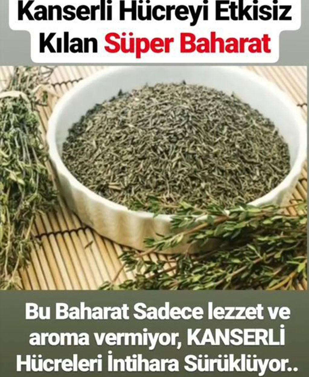 Kanserli hücreyi intihara sürükleyen süper baharat - 1