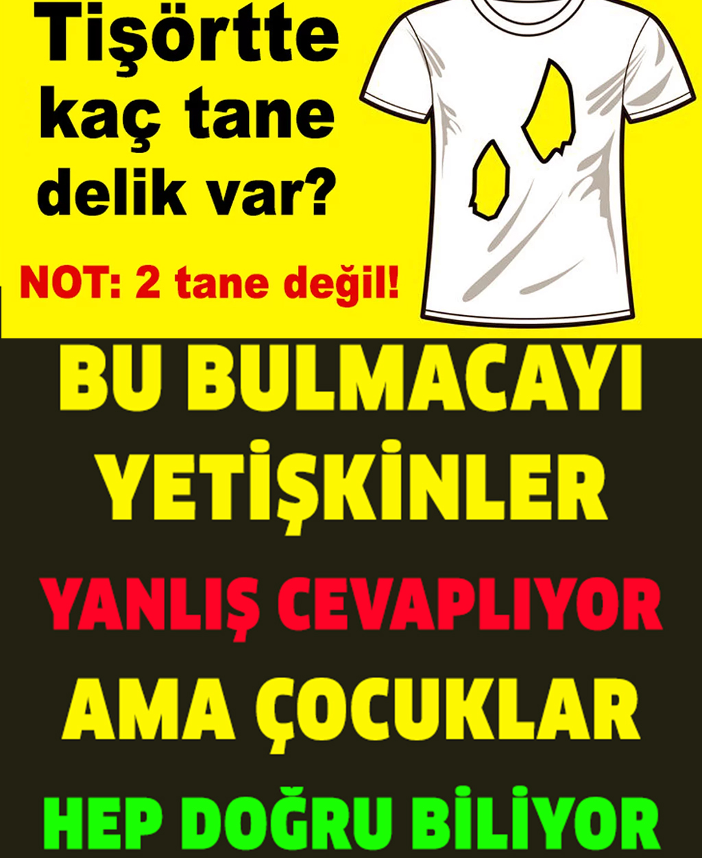 Çocukların Kolaylıkla Yaptığı, Yetişkinlerin Bulmakta Zorlandığı 5 Bulmaca - 1