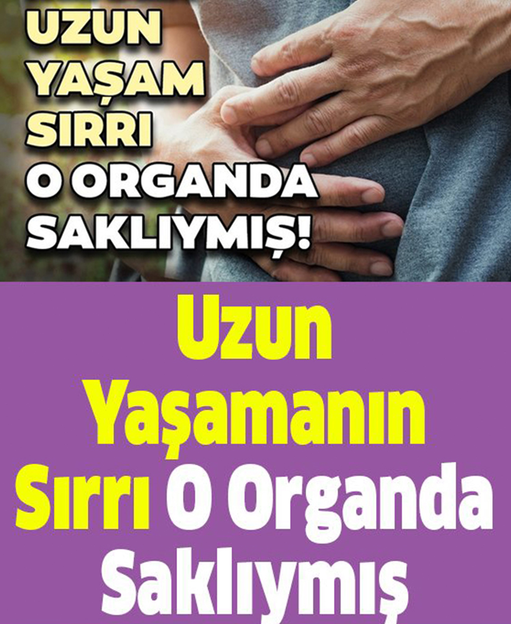 Uzun Yaşamanın Sırrı O Organda Saklıymış - 1