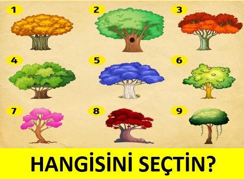 Bu test kendi adınıza yeni şeyler keşfetmenizi sağlayacak - 4